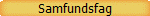 Samfundsfag